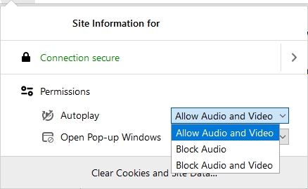 How to enable auto play in your browser